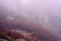 Fog inside Baldy Bowl